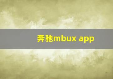 奔驰mbux app